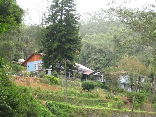 Spring Dale Resort
